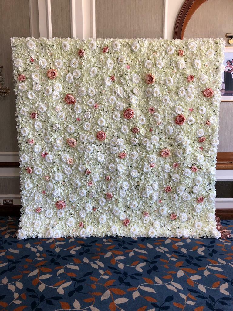 Flower Wall In Chichester West Sussex Gumtree