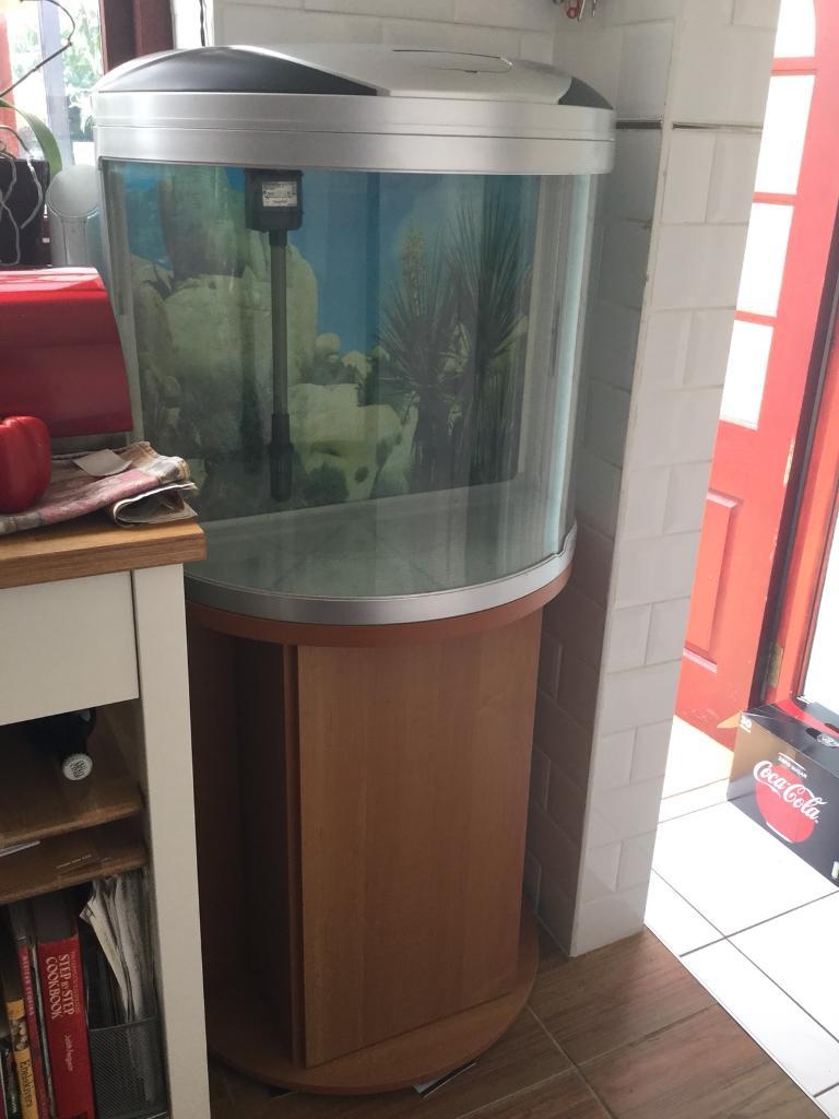 Curved fish tank with stand and filter in Twickenham, London Gumtree