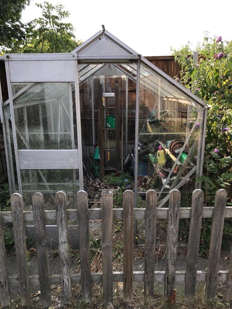 Greenhouse in Norwich, Norfolk Gumtree