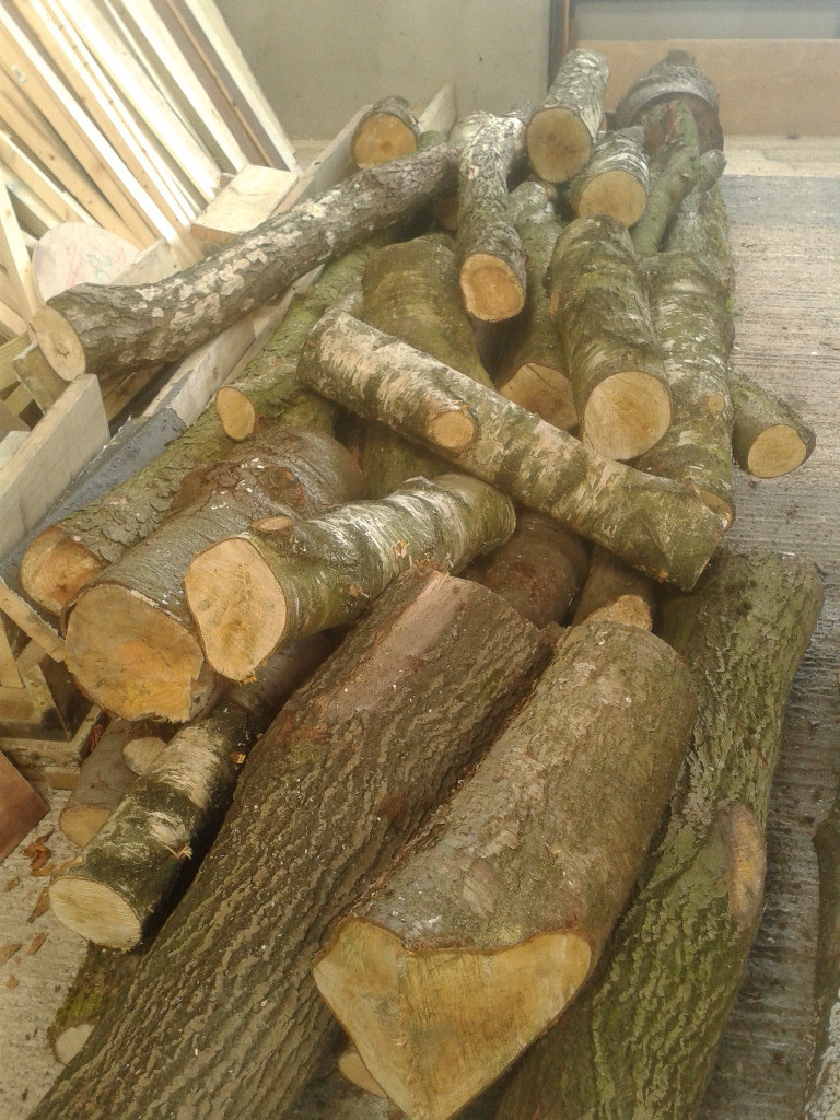 Logs for Firewood/Woodburner Cedar/Birch/Willow in Chesterfield, Derbyshire Gumtree