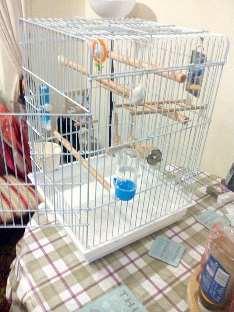 2 bird budgie cage with accessories in Stockport, Manchester Gumtree