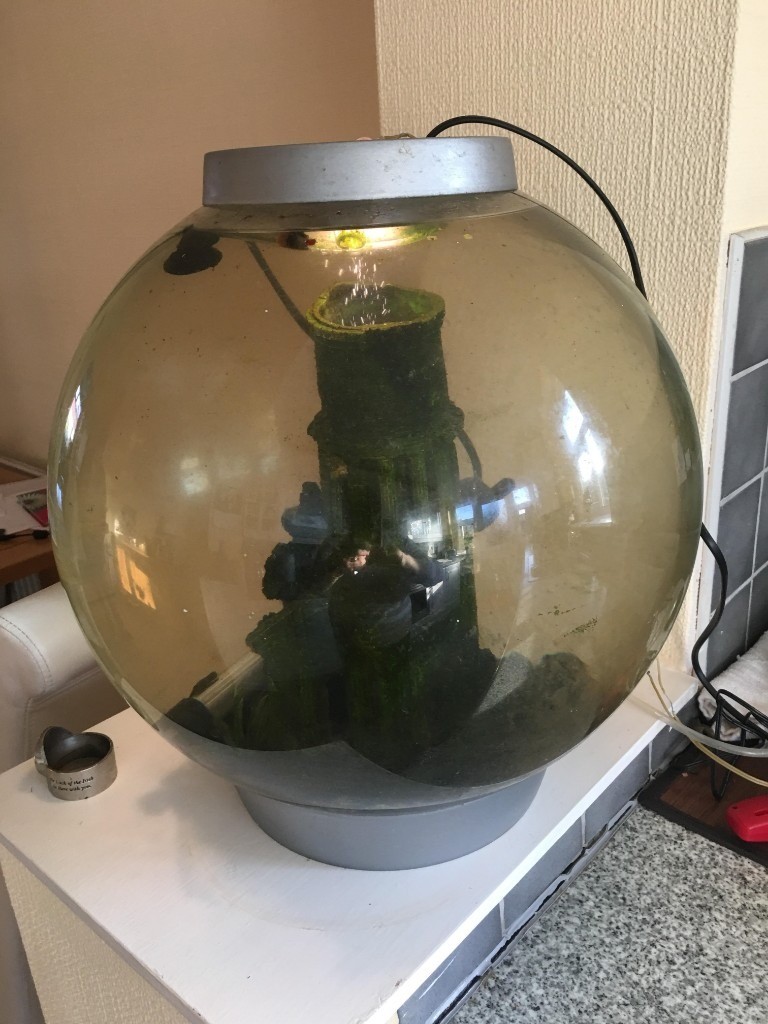 Bio Orb 30 ltr Fish Tank in Oldham, Manchester Gumtree