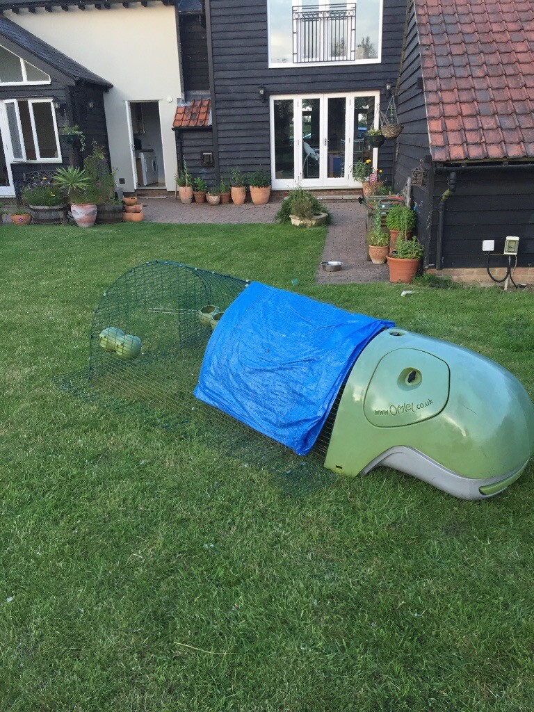 Eglu Chicken Coop 2 Metre Run In Braintree Essex Gumtree