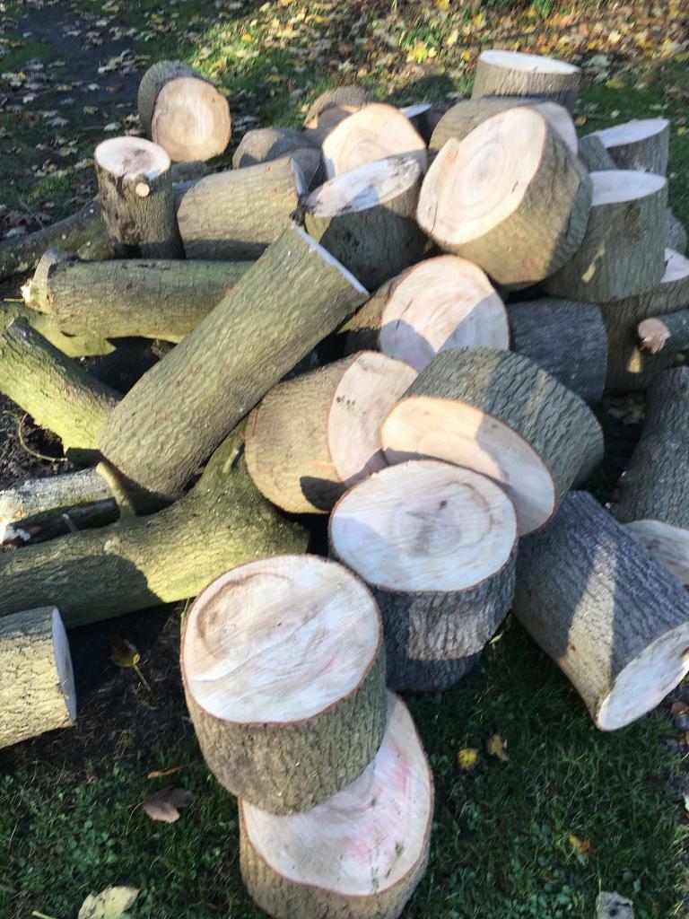 SPLIT FIREWOOD. FIRELOGS. in Hull, East Yorkshire Gumtree