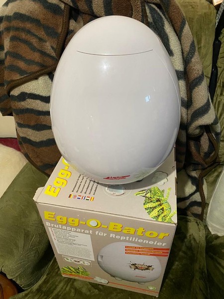 Can you use a chicken egg incubator for reptiles