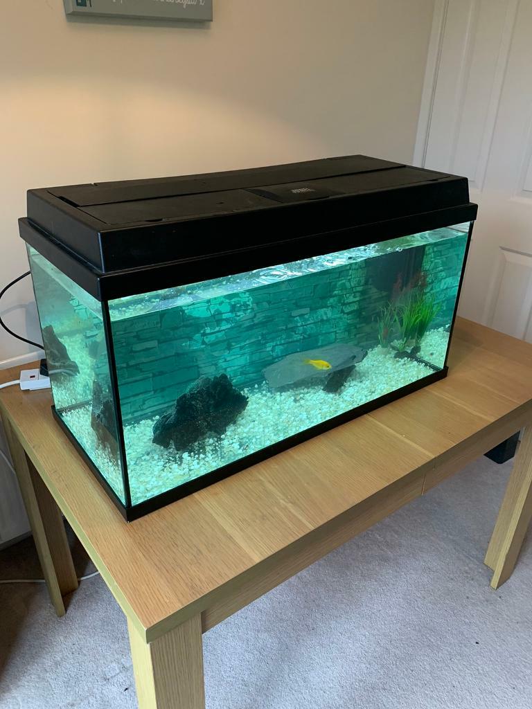 Large 120 litre fish tank with full set up in Corby, Northamptonshire