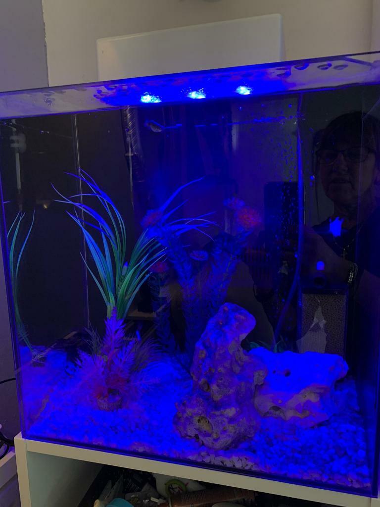 Aqua one fish tank in Milton Keynes, Buckinghamshire