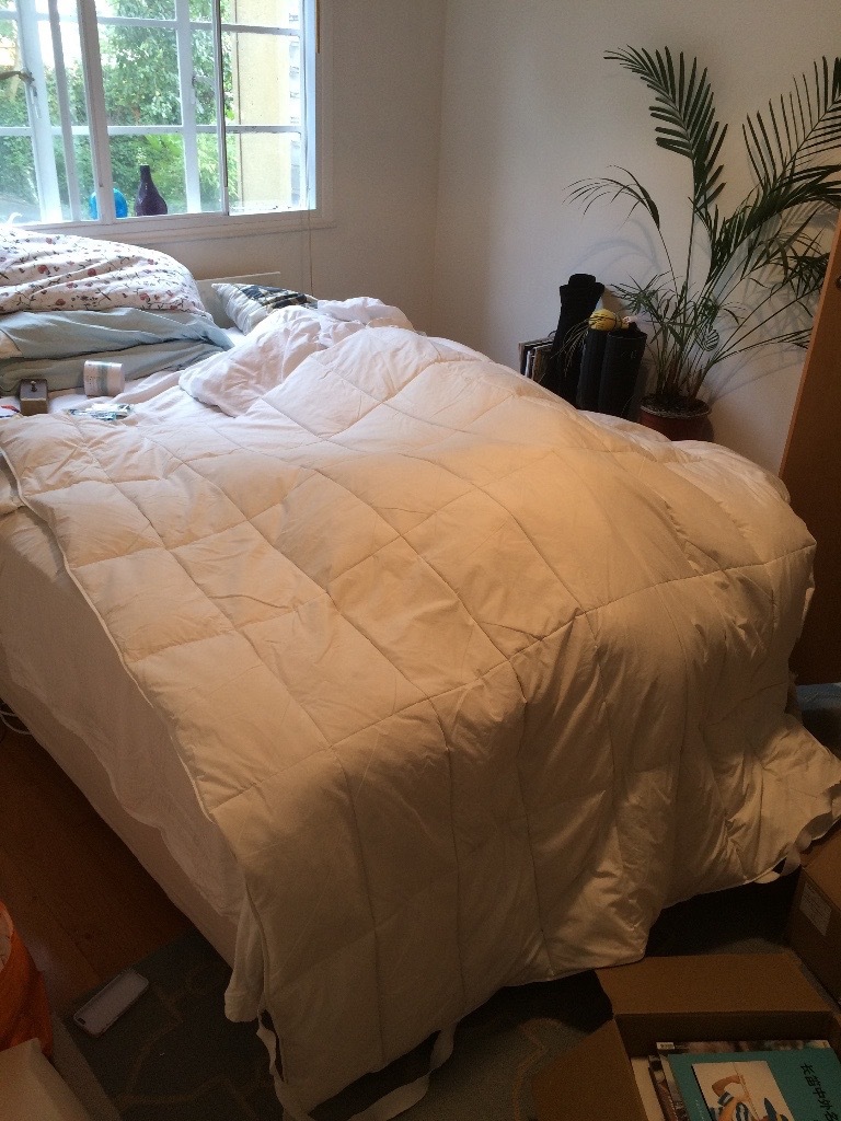 Double Size Goose Down Topper Comforter Ikea In