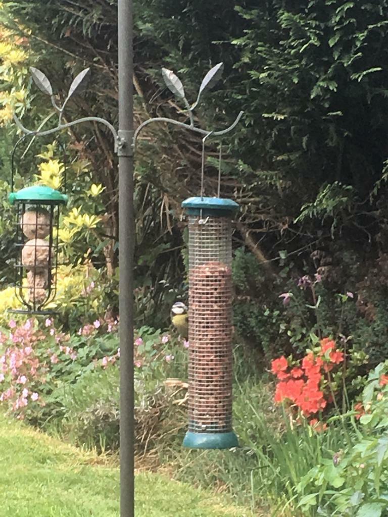 2 Bird Feeder Stands With Feeder Containers And Bag Of Seed In