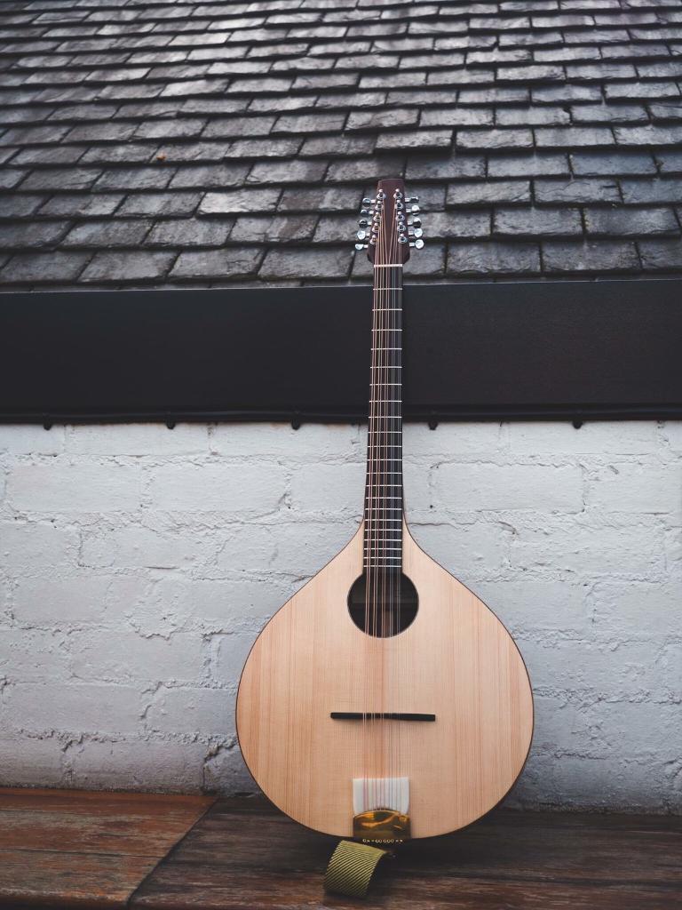 Ruben Bada Cittern (10 string Bouzouki) in Maryhill, Glasgow Gumtree
