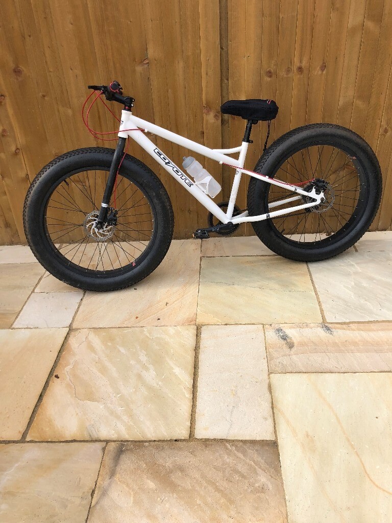 coyote skid row fat bike