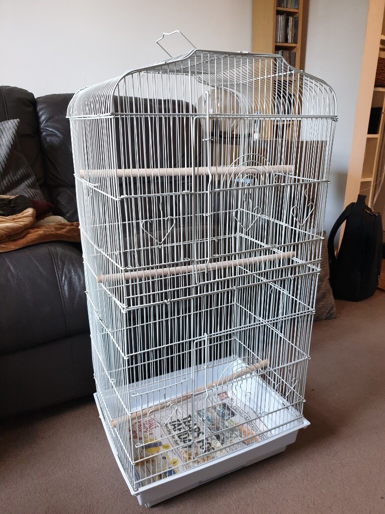 Large Bird Cage With Perches in Colchester, Essex Gumtree