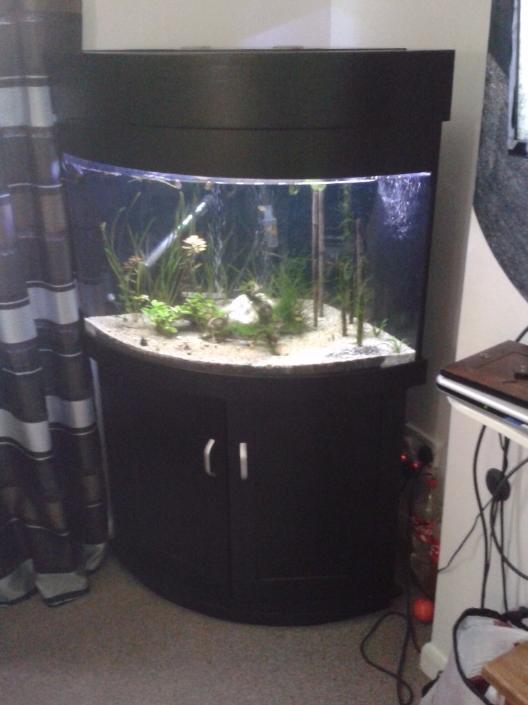 full set corner fish tank 190l in Sherwood, Nottinghamshire Gumtree