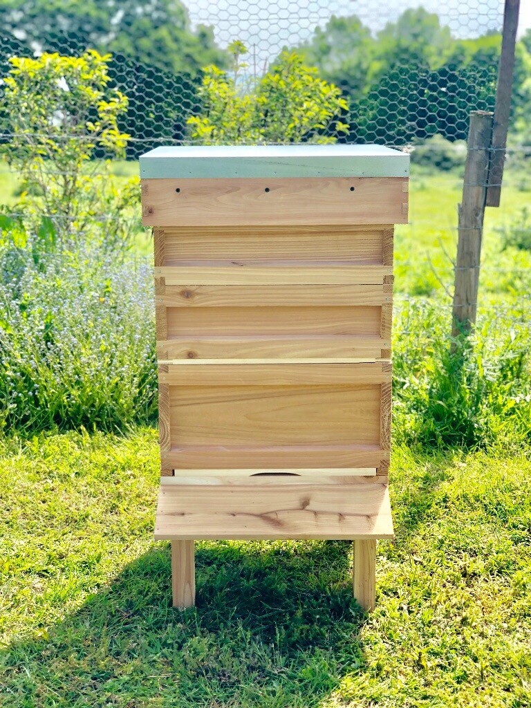 Beehive, bee hive National standard assembled, English red cedar in West Byfleet, Surrey Gumtree