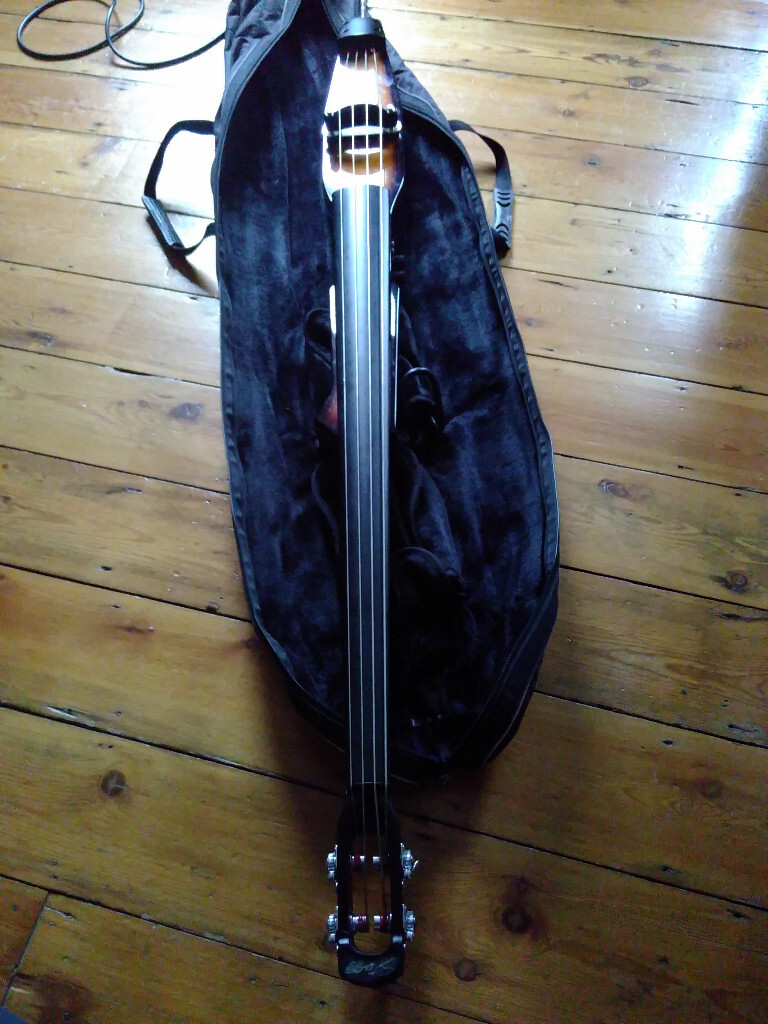 Stagg HDB200 Electric Upright Stick Bass in Lambeth, London Gumtree