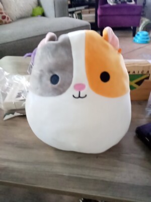 Everett The Hamster Squishmallow Cute Plush Squishmallows Small 8 