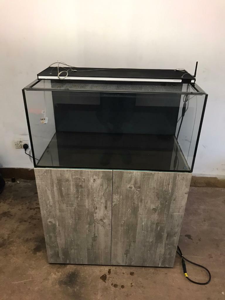 Marine fish tank complete set up in Prestonpans, East Lothian Gumtree