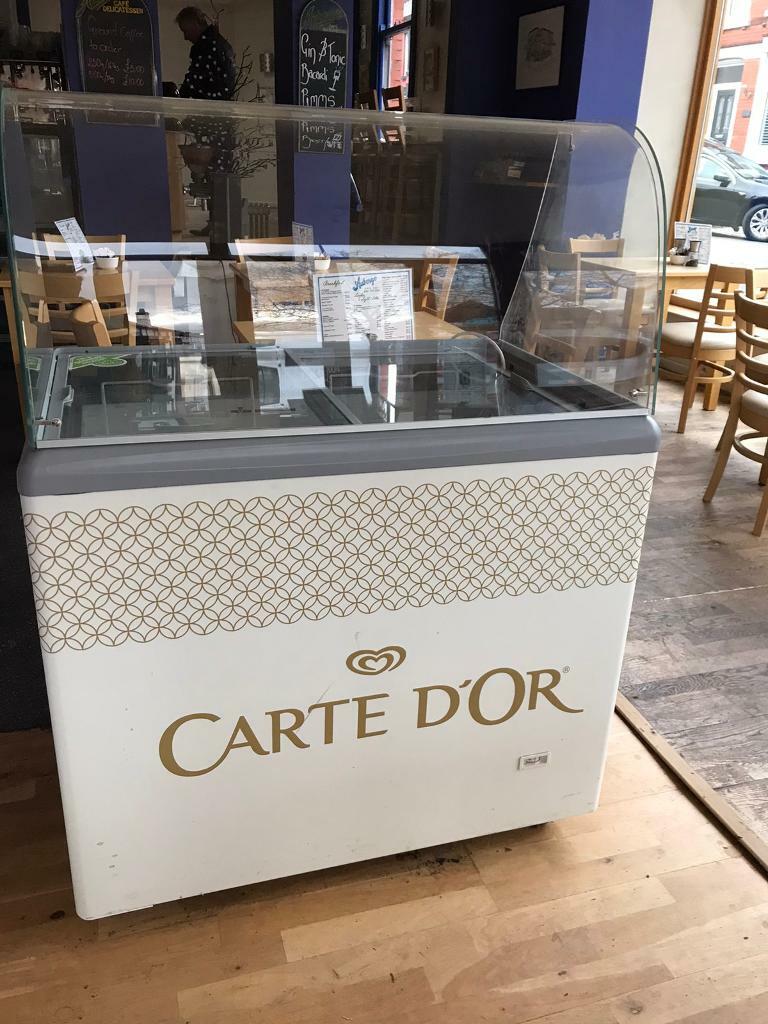 Carte D’or Ice Cream Freezer in Allerton, Merseyside Gumtree