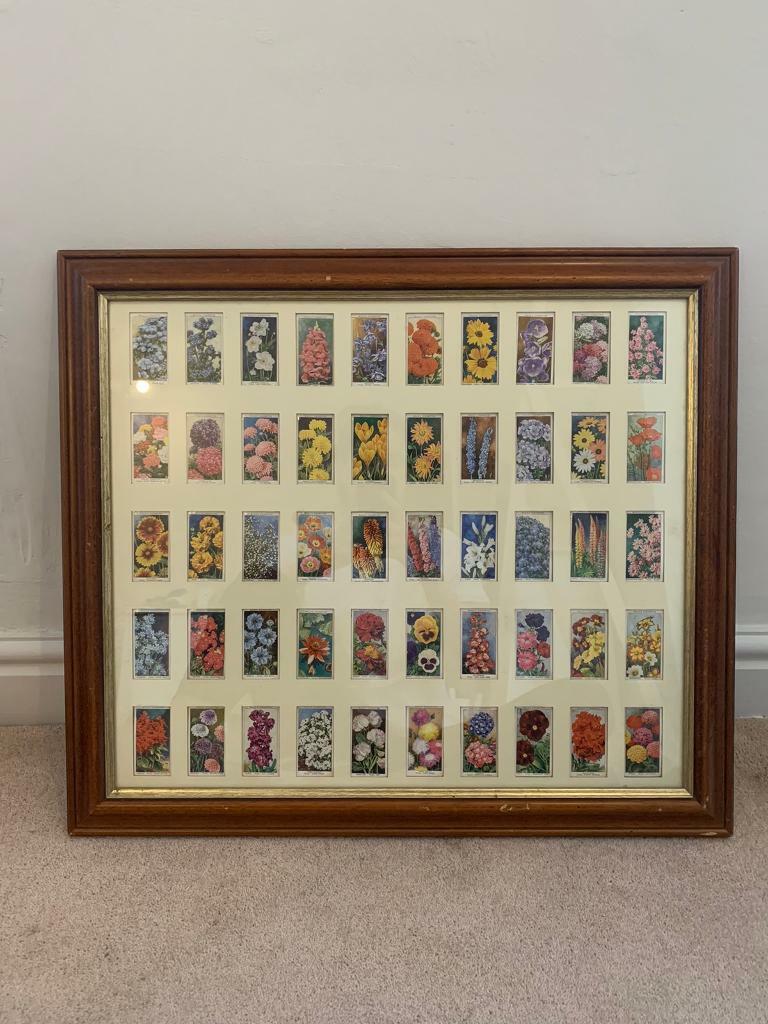 Collectable Will’s cigarette cards full original collection in