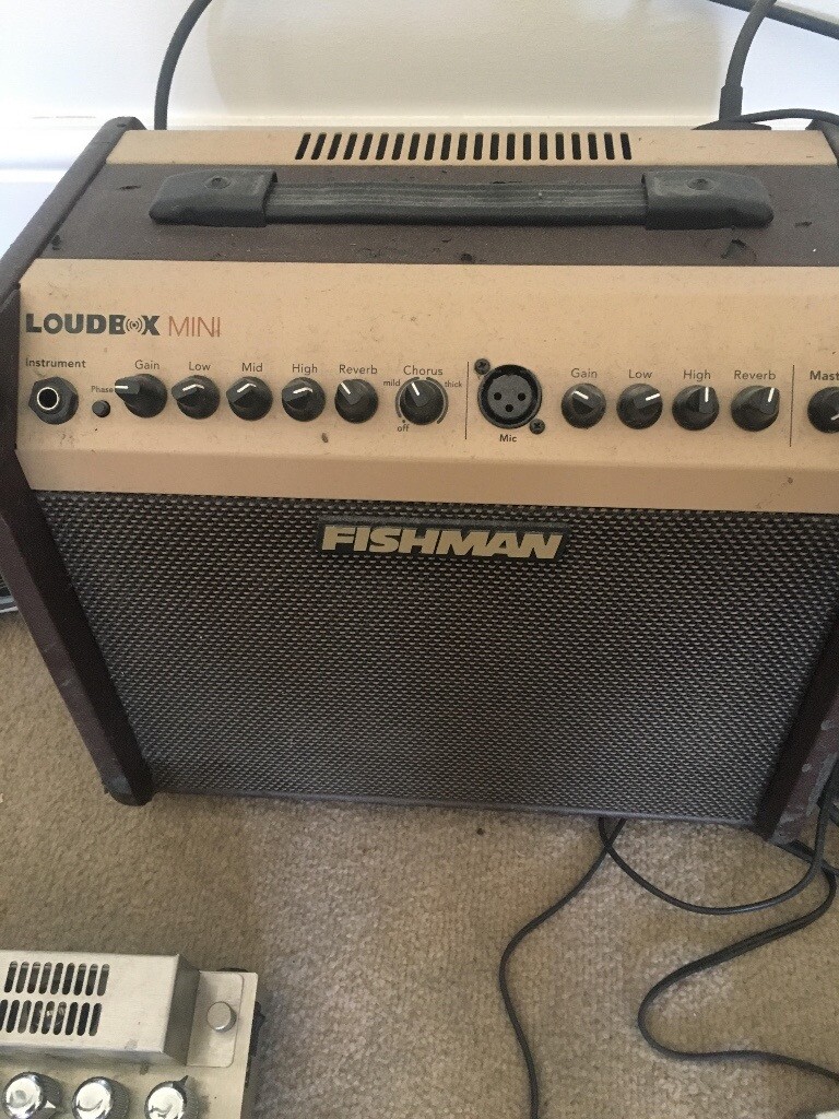 Fishman acoustic guitar /vocal amp in Highgate, London Gumtree