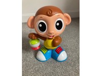 pet monkey for sale glasgow