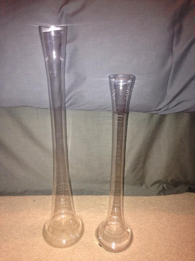 2 Tall Thin Vase In Plymouth Devon Gumtree