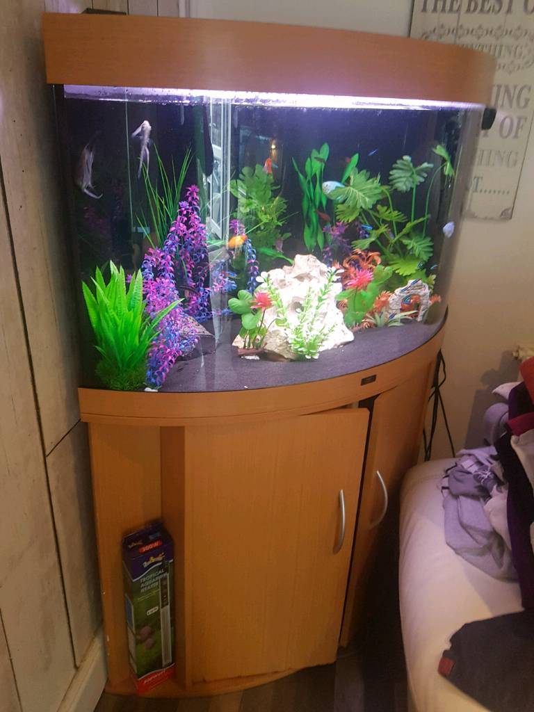 190 litre corner fish tank in Bristol Gumtree