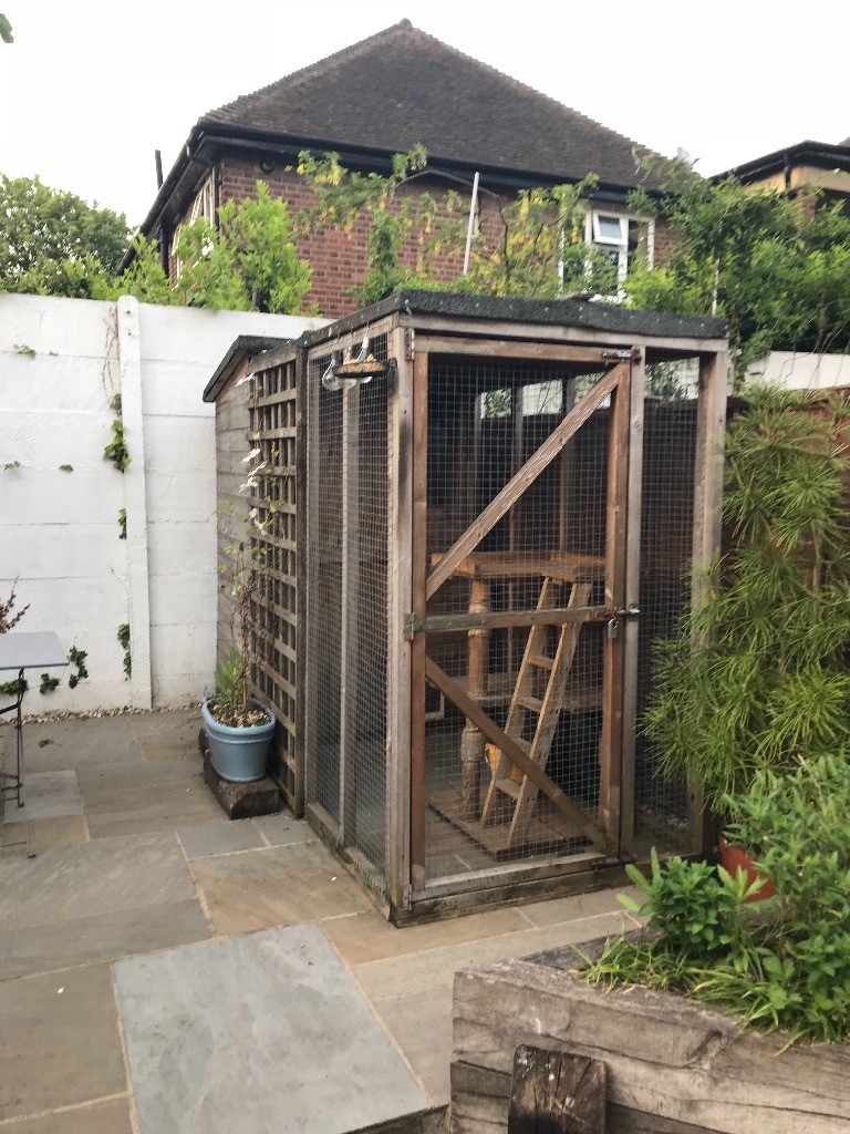Free Cat garden cat shed and run in Isleworth, London Gumtree