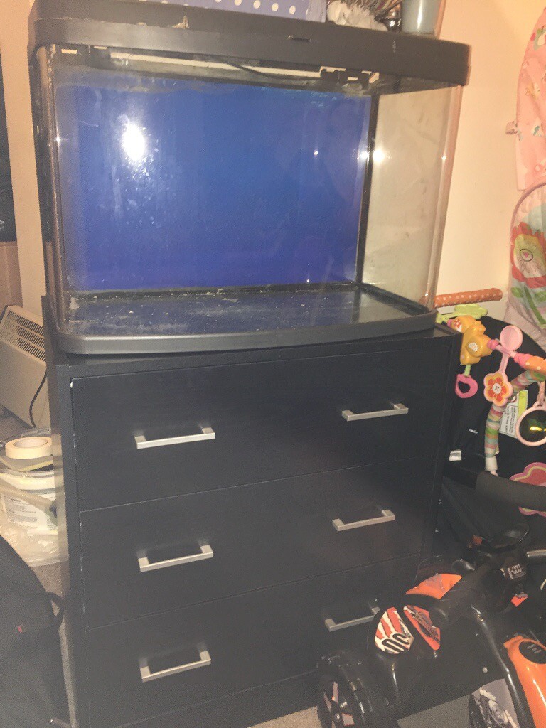 2ft curved fish tank in Luton, Bedfordshire Gumtree