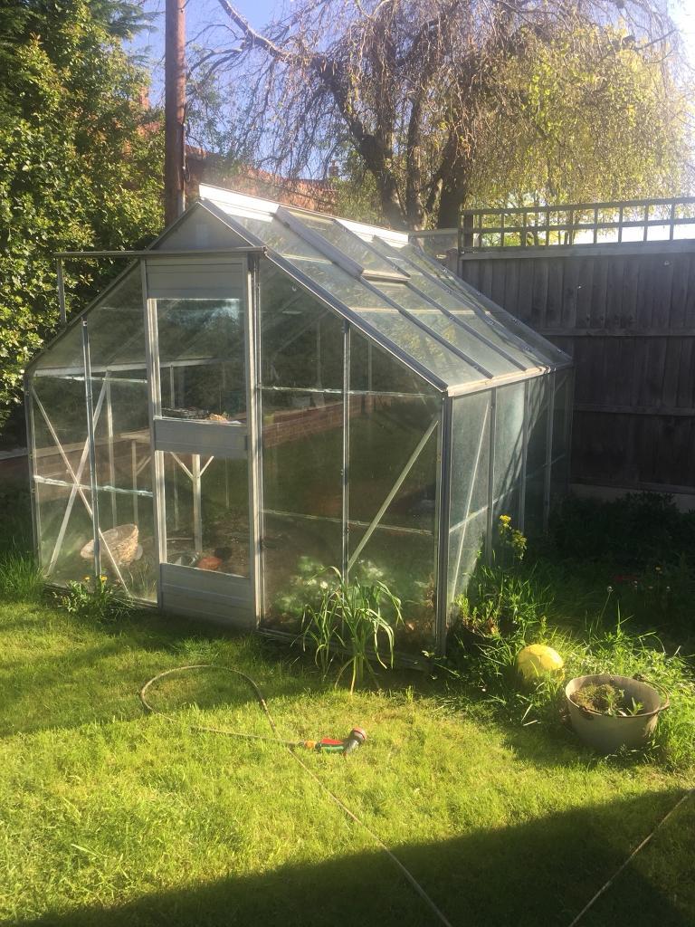 8ft x 8ft Greenhouse in Norwich, Norfolk Gumtree