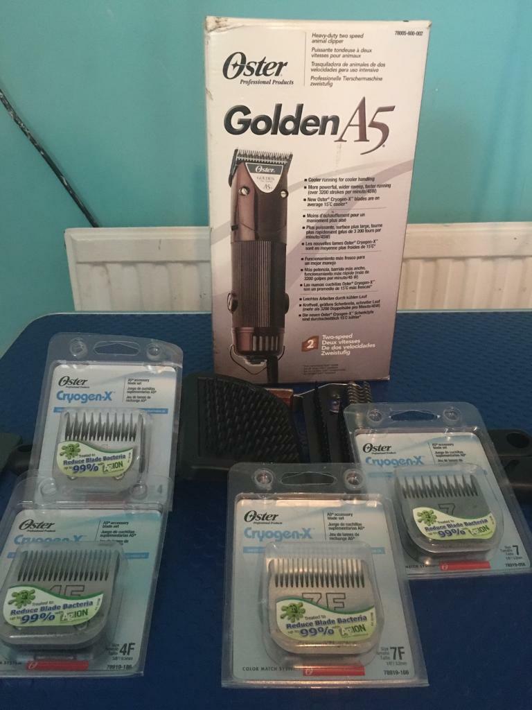 Golden oster A5 dog grooming clippers in Ayr, South Ayrshire Gumtree