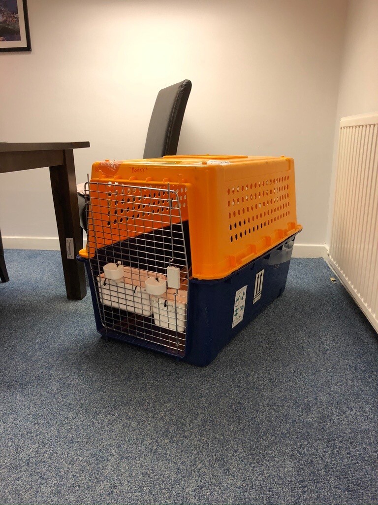 Airline approved Dog Crates in Silverknowes, Edinburgh Gumtree