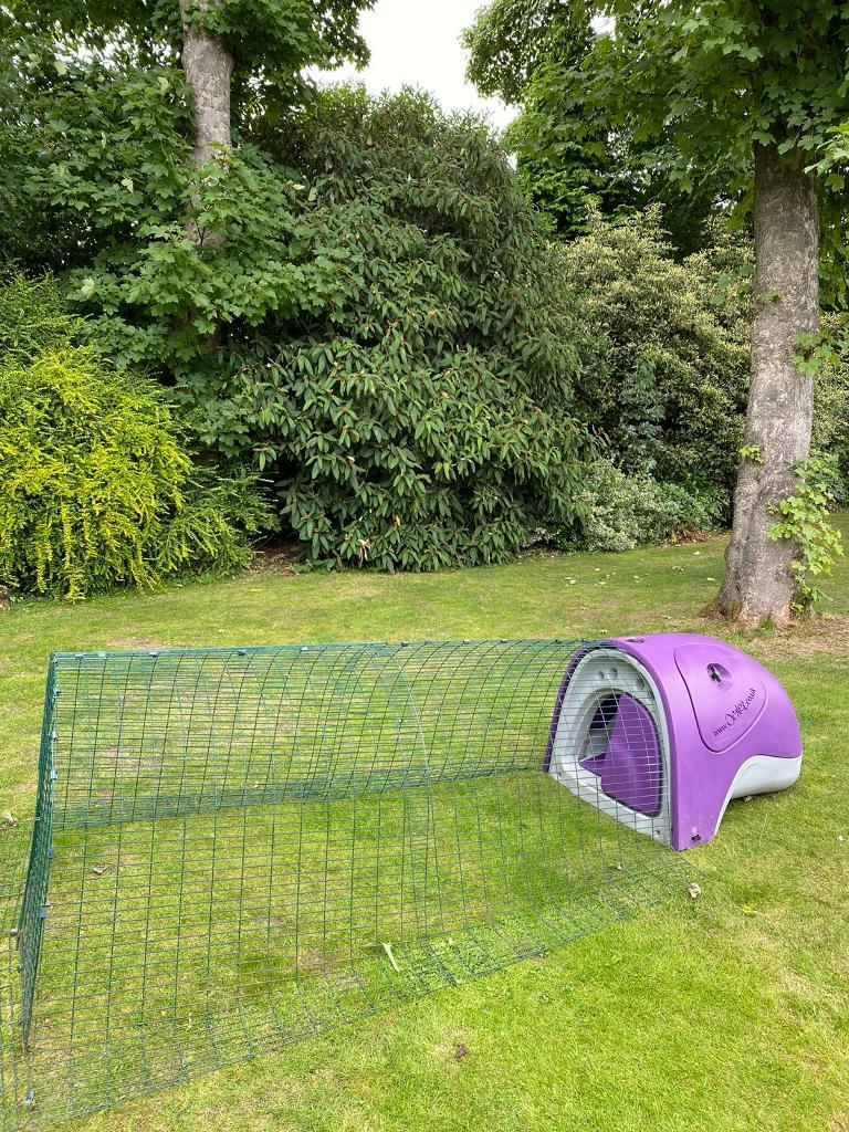 SOLD Omlet Eglu Classic Chicken Coop with a 2m run in Rotherham