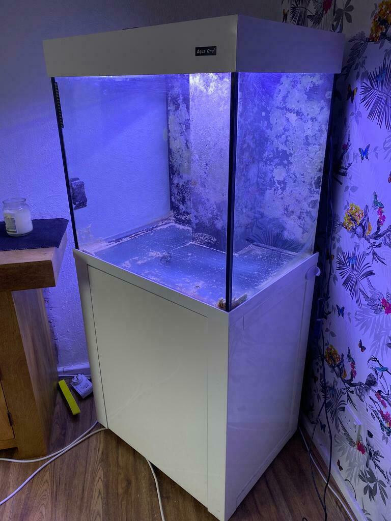 Latest model White Aqua one 195 cube marine tropical fish tank aquarium