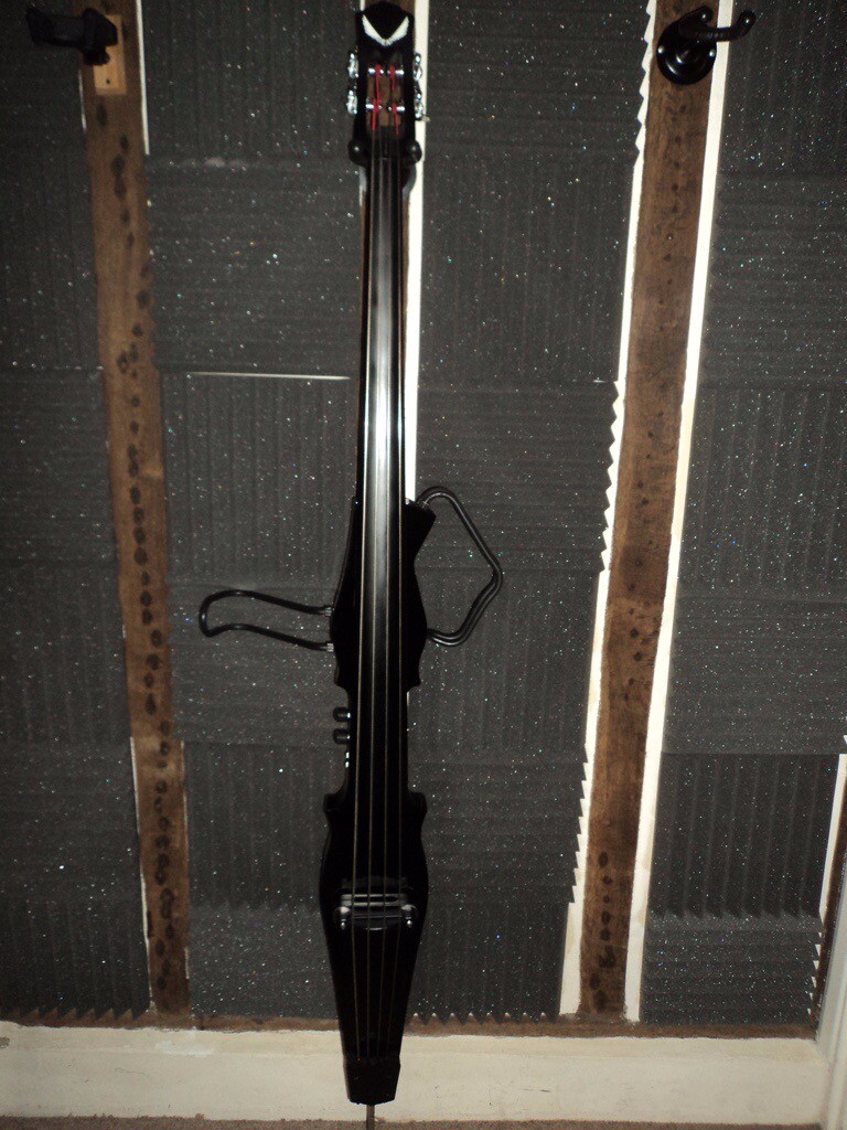 Dean Pace Contra Upright Electric Bass in Petworth, West Sussex Gumtree