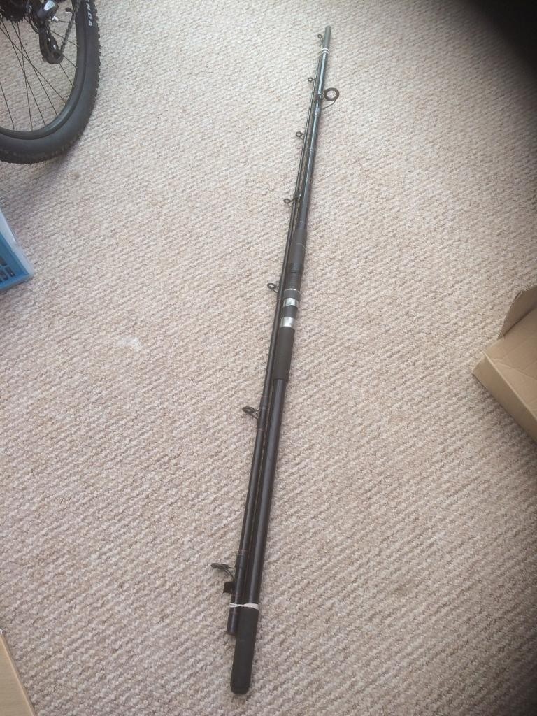 Sundridge Dippa Beach Rod in Exeter, Devon Gumtree