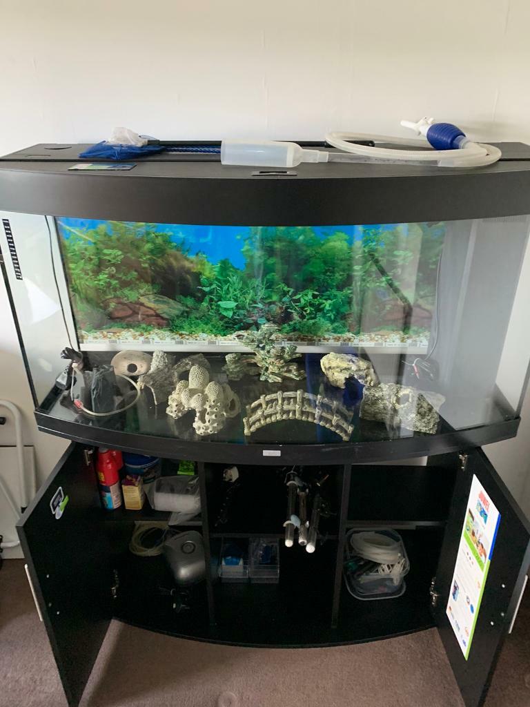 4 feet fish tank in Stonehaven, Aberdeenshire Gumtree