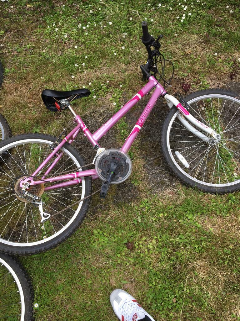 Girls bike for sale in Hawick, Scottish Borders Gumtree
