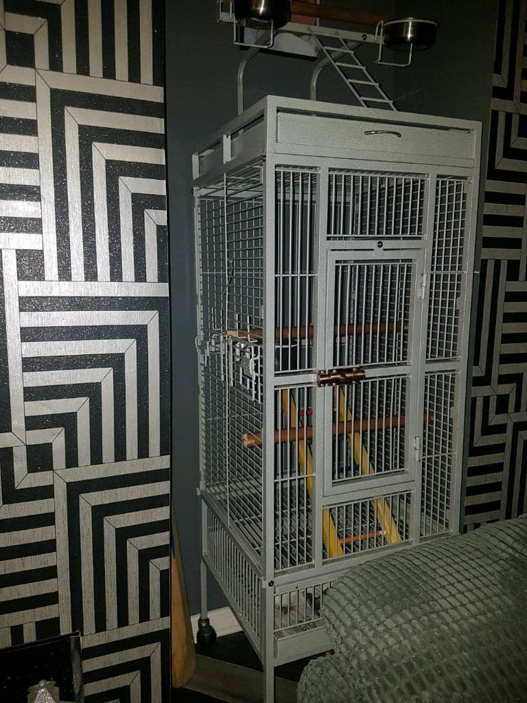 Small parrot cage for sale in Sheffield, South Yorkshire Gumtree