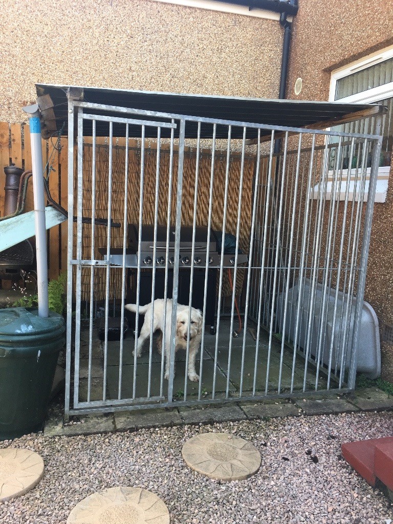 Large Dog Run / outdoor Cage in Glenrothes, Fife Gumtree