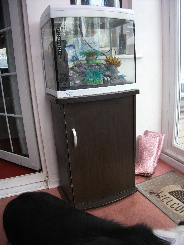 Fish Tank with Accessories and Unit Filter Pump and Air Pump