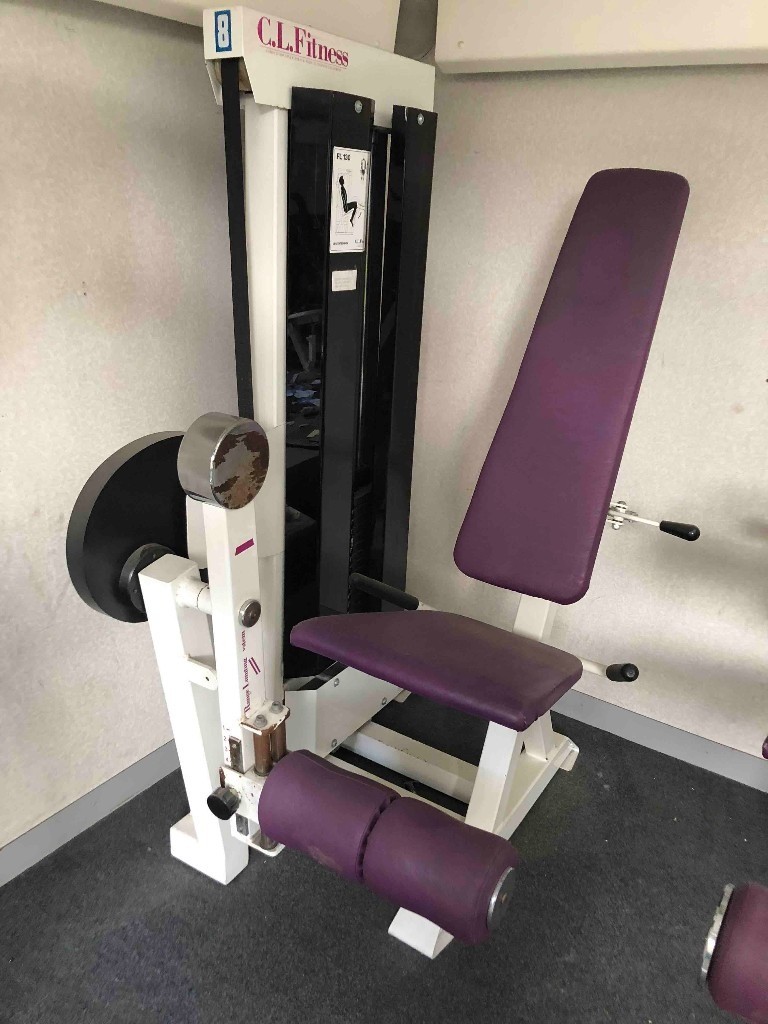 Lifefitness Leg Extension Machine in Canary Wharf, London Gumtree