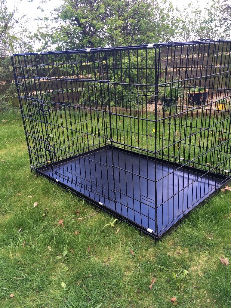 XL dog crate in Haddington, East Lothian Gumtree