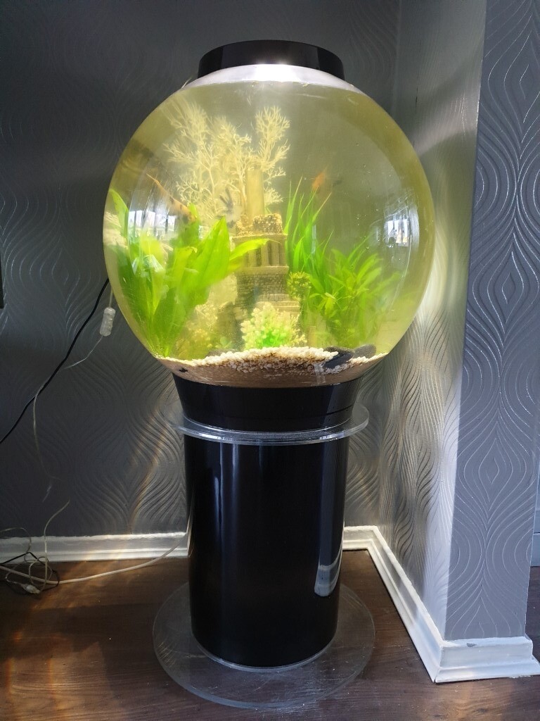 Biorb 105 aquarium / fish tank with stand and biorb accessories in