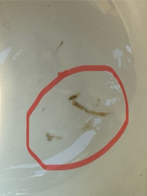 經驗證買家提供的物品圖片