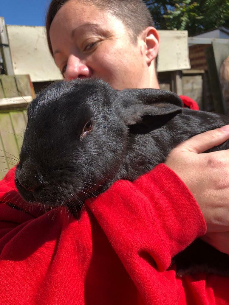 3 rabbits looking for new home in Fishermead, Buckinghamshire Gumtree