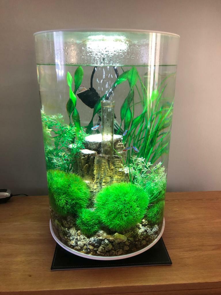 Biorb fish tank 30ltr LED complete tropical set up in Glenfield