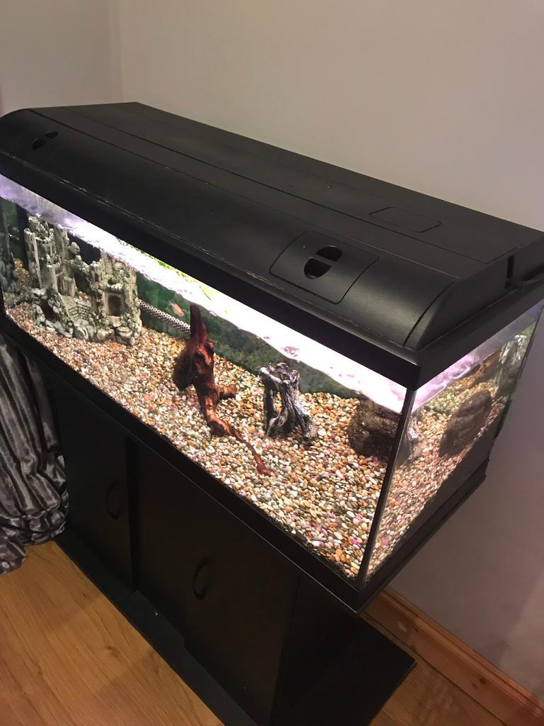 Fish tank and unit in Gourock, Inverclyde Gumtree