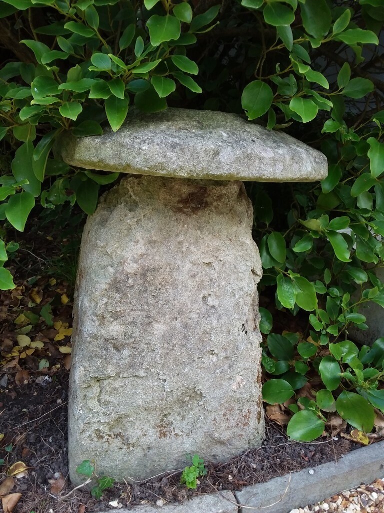 Staddle Stones in Salisbury, Wiltshire Gumtree