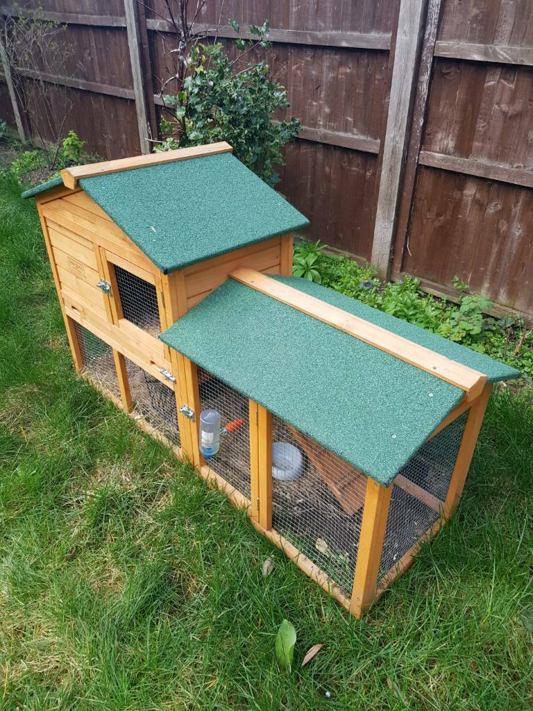 Rabbit and hutch full set up in Nottingham, Nottinghamshire Gumtree